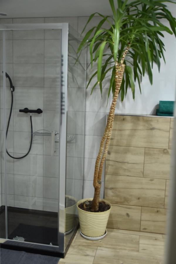 Apartament Centrum Polanica-Zdroj Dış mekan fotoğraf